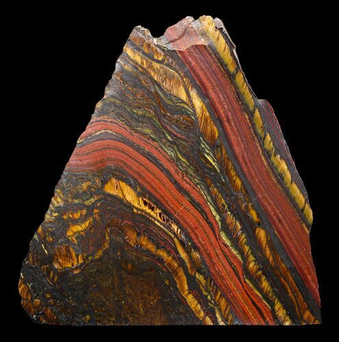 Polished Tiger Iron Stromatolite - ( Billion Years) #62773